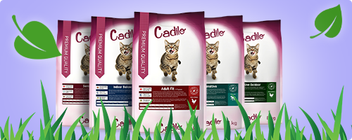 Aliments pour chats Cadilo Premium